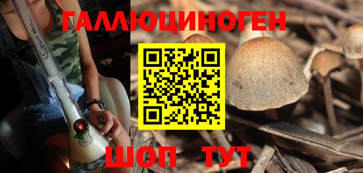 Галлюциногенные грибы Cubensis  Вход с VPN  Щёкино  Галлюциногенные грибы MAGIC MUSHROOMS 